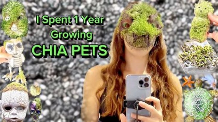 Are Chia Pets easy to grow?