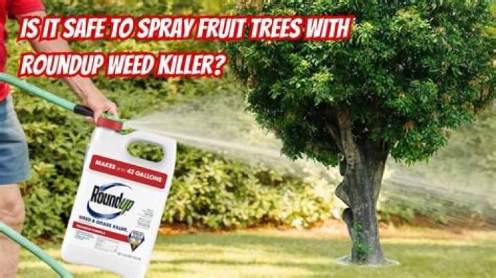 Can herbicide kill trees? | ContextResponse.com