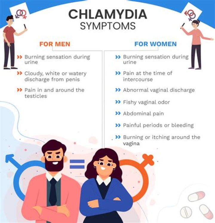 Can koala bears give you chlamydia?