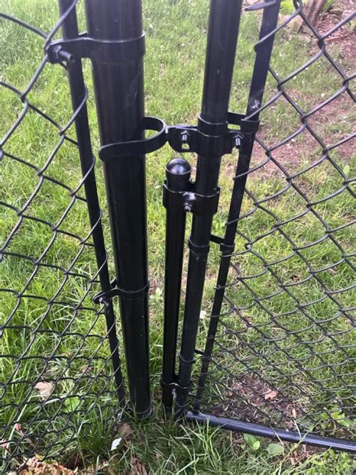 Can skunks fit through chain link fence?
