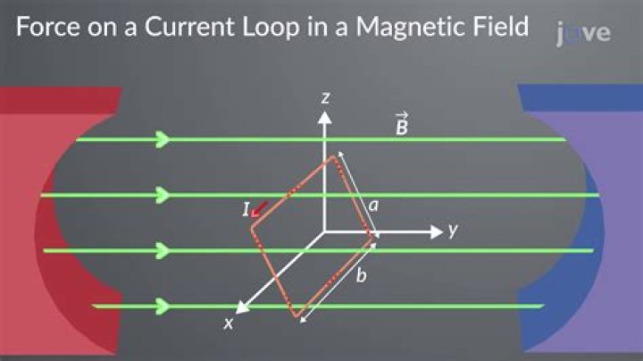 Can we live without a magnetic field?