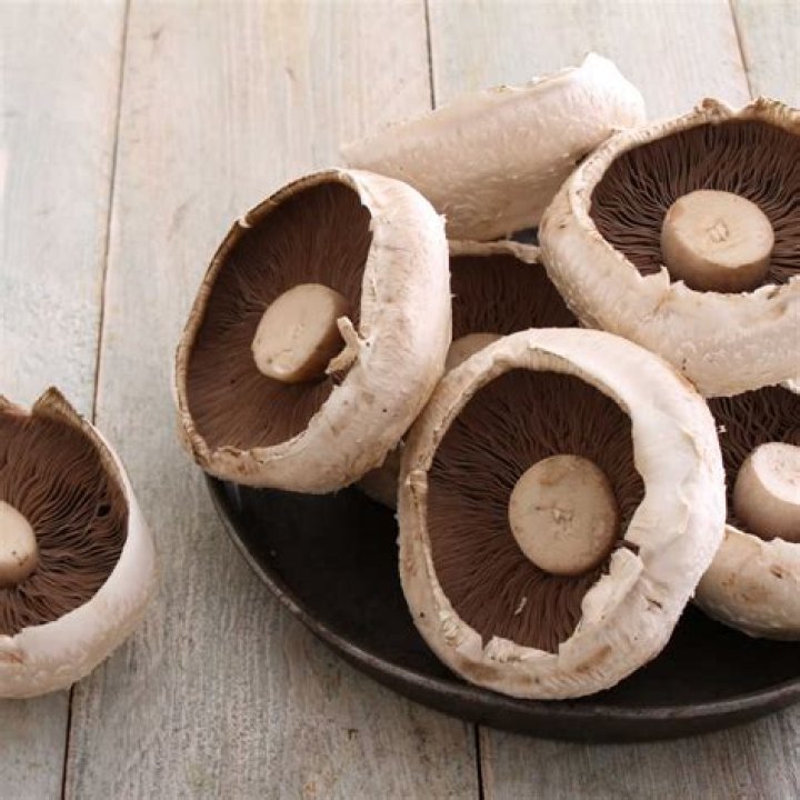 Can you freeze fresh portobello mushrooms?