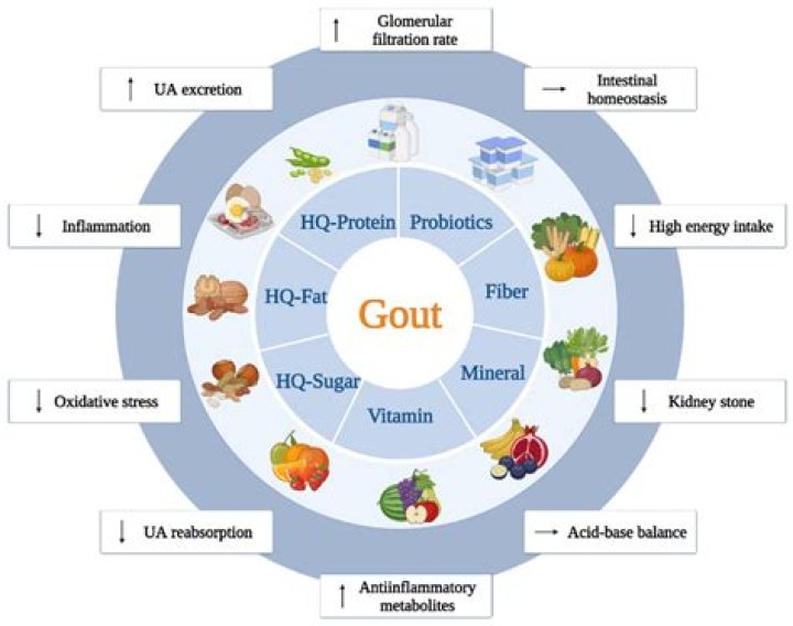 Can you have salt with gout?