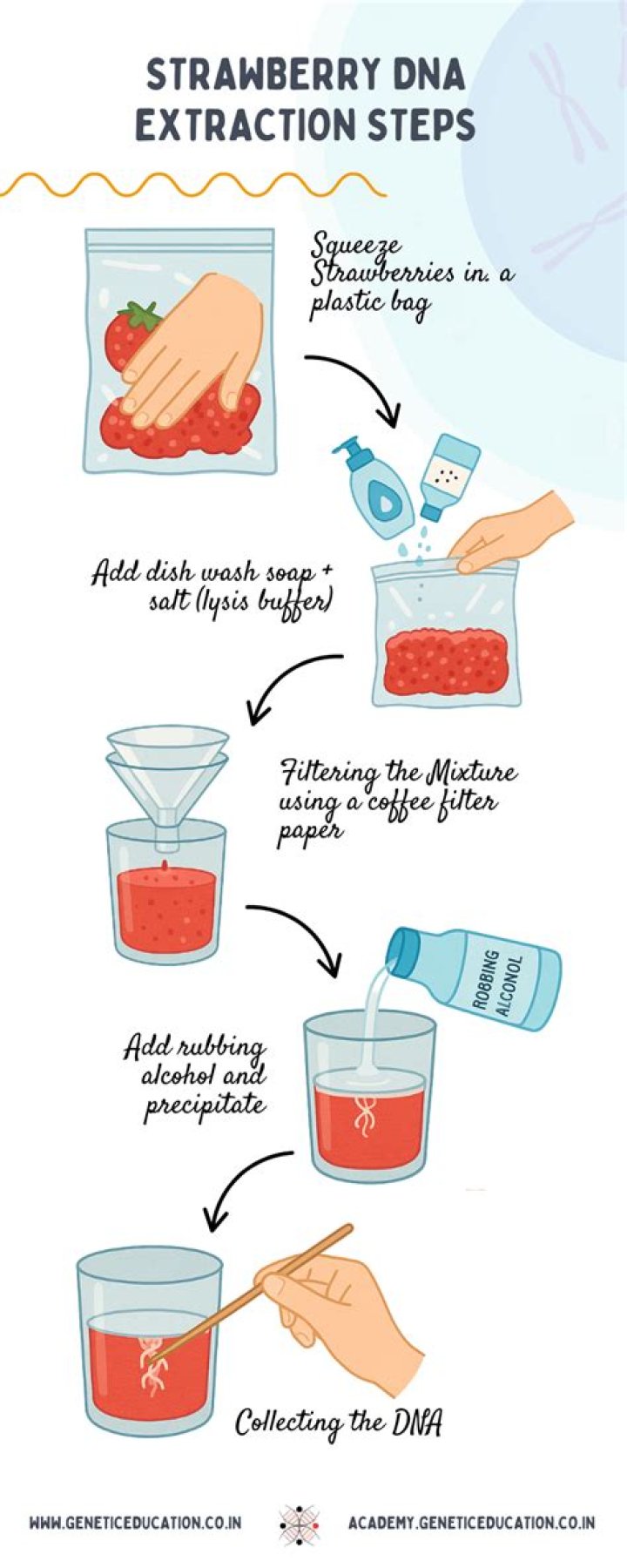 Can you make alcohol from strawberries?