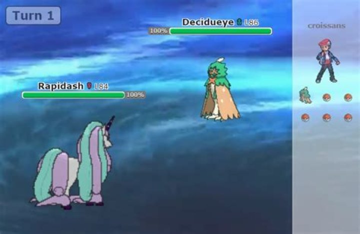 Can you play Pokemon Showdown offline?