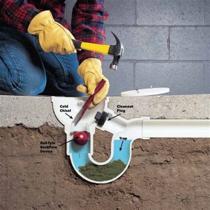 Can you put a drain snake down the toilet?