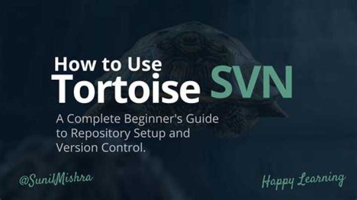 Can you use TortoiseSVN on Mac?