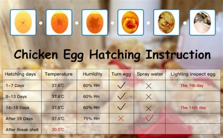 Do eggs have to be room temperature for baking?
