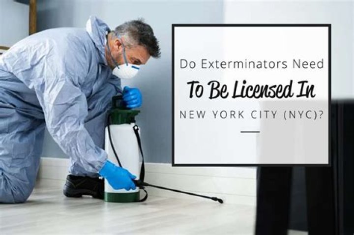 Do exterminators work for ants?