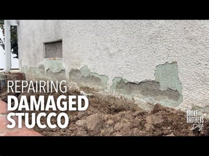 Does Virginia creeper damage stucco