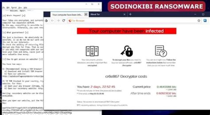 Generic.Ransom.Sodinokibi.8D2E7A7D
