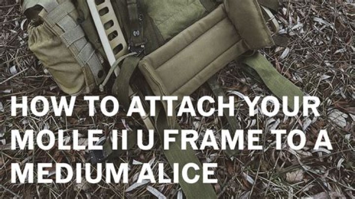 How big is a medium Alice pack?