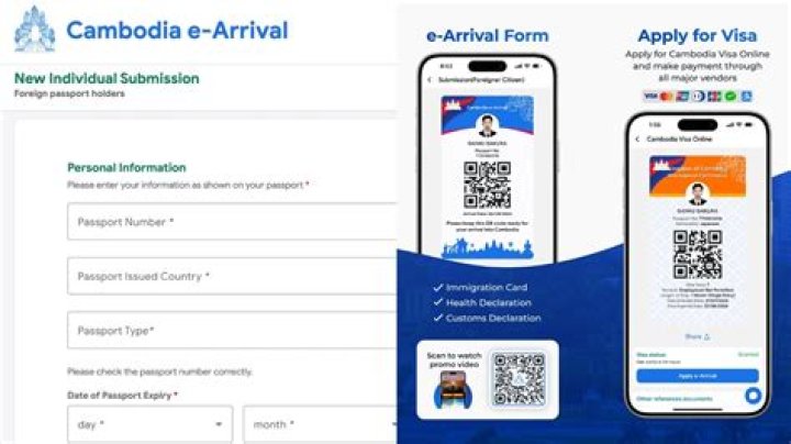 How can I check my Cambodia visa online?