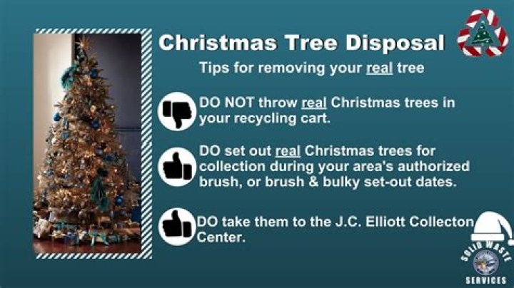 How do I dispose of a Christmas tree in San Francisco?