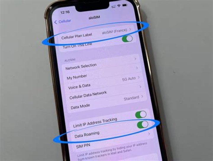 How do I fix roaming on my phone?