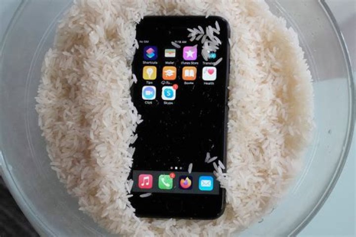 How do I put wet phone in rice?