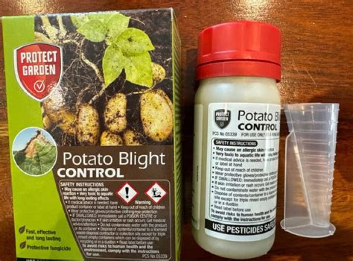 How do you control late blight in potatoes?