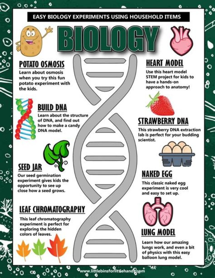 How do you explain biology to a child?