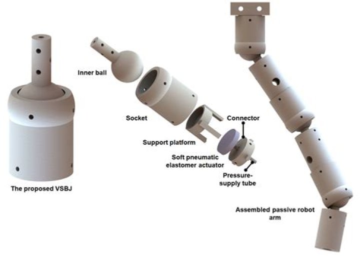 How do you make a model of a ball and socket joint with clay?