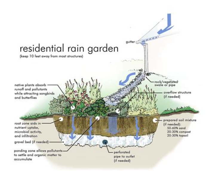 How do you make a small rain garden