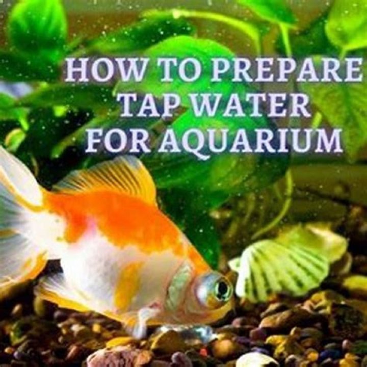 How do you make tap water for fish