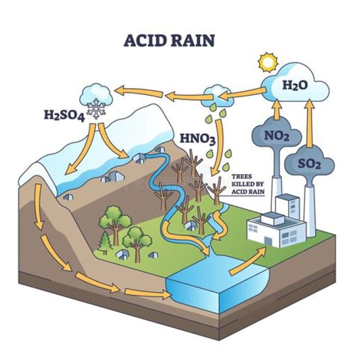 How does acid rain affect water cycle?
