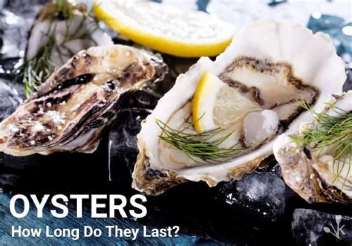 How long do unopened oysters last?