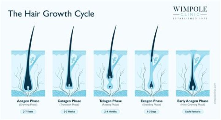 How long do you have to let your leg hair grow before waxing?