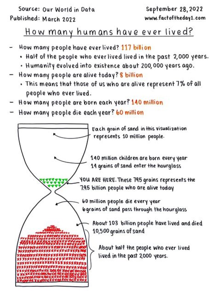 How many human babies are born each day?