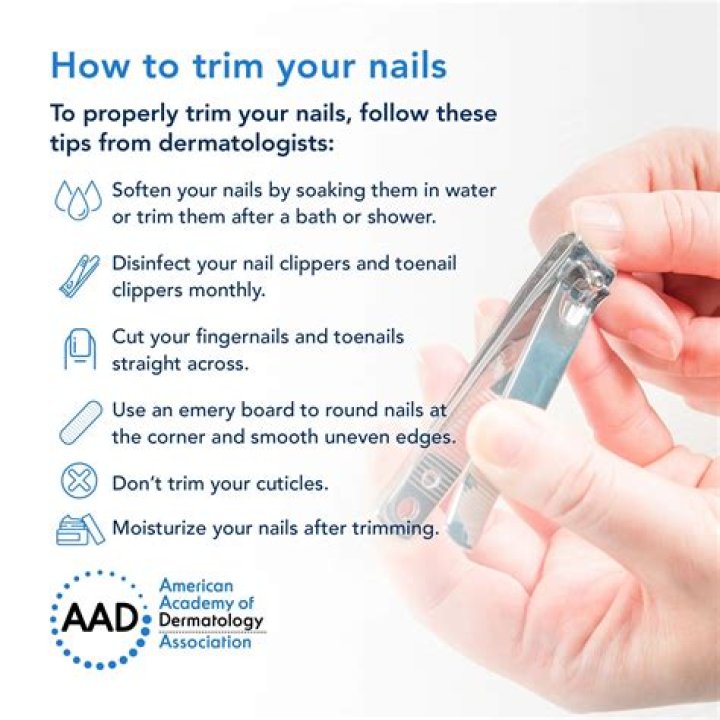 How much do vets charge to clip nails?