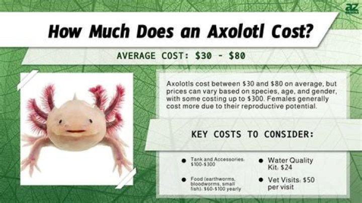 How much does MegaSquirt cost?