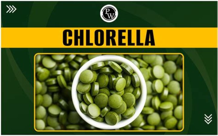 Is Chlorella a blood thinner?