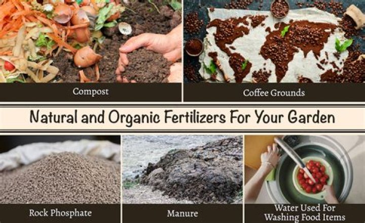 Is compost an organic fertilizer?