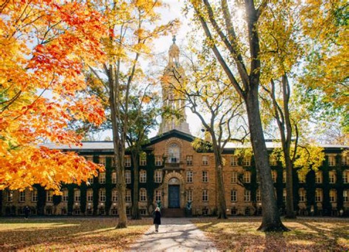 Is Concordia an English university?