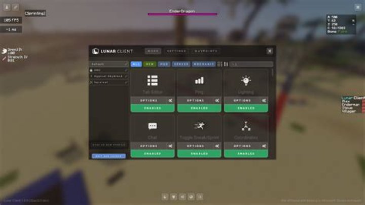 Is Nei a client mod?