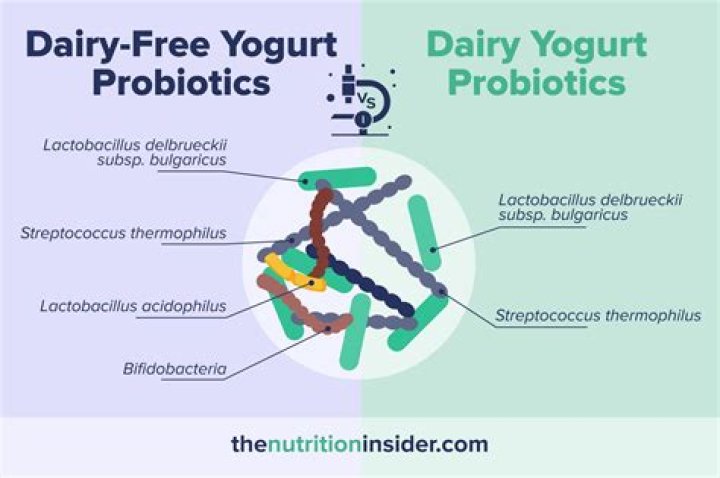 Is yogurt a probiotic or prebiotic?