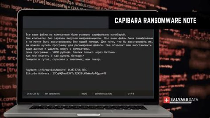 Ransom:MSIL/Shezkrypt.A