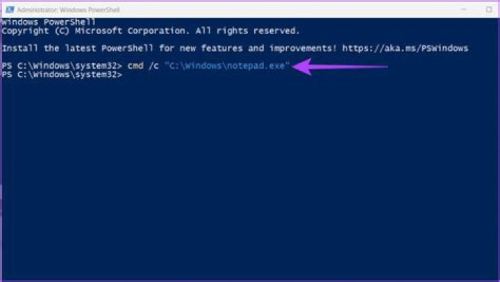 Ransom:PowerShell/Poshkod.D