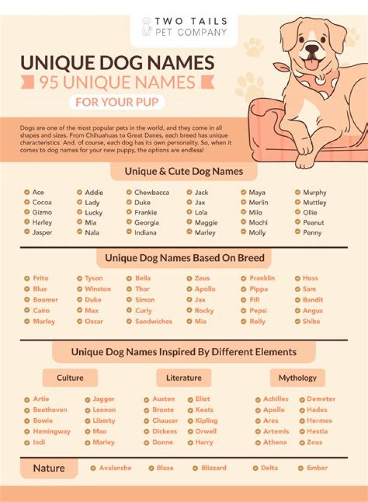 Should dog names end in Y?