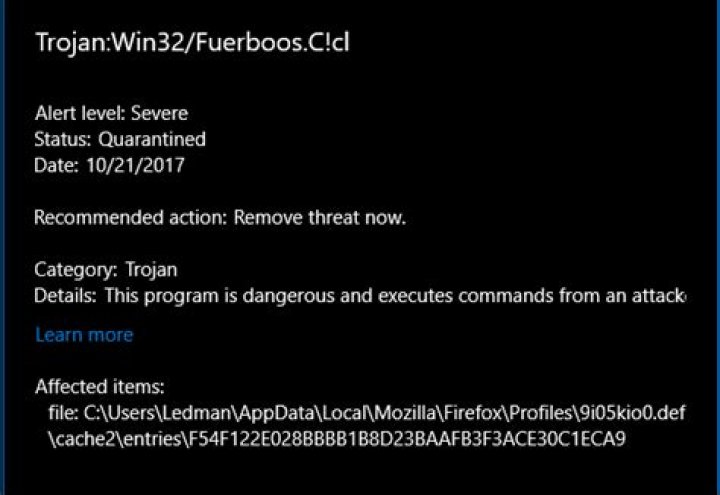 Trojan:Win32/Fuerboos.C!cl