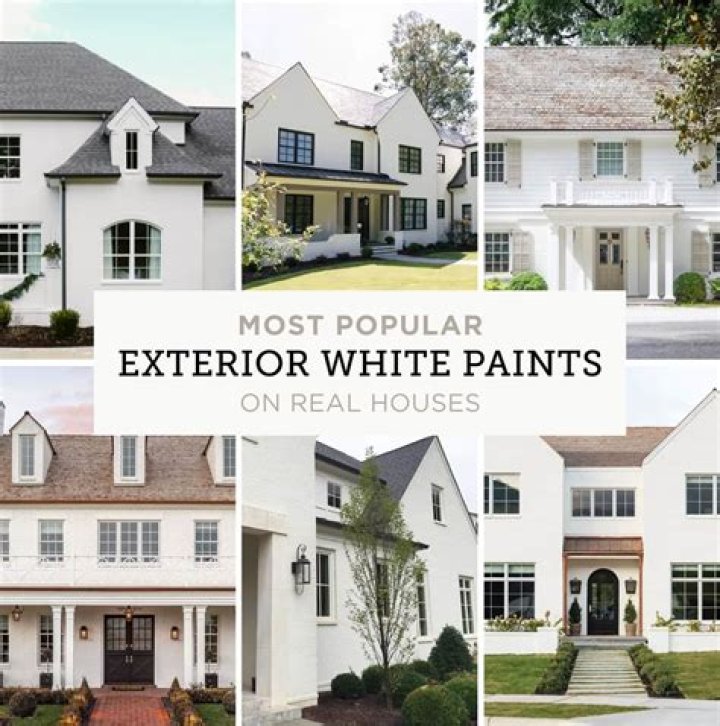 What's the best exterior primer?