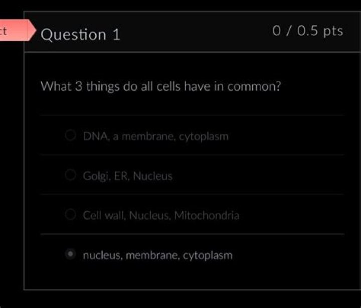 What 3 things do all cells have in common?
