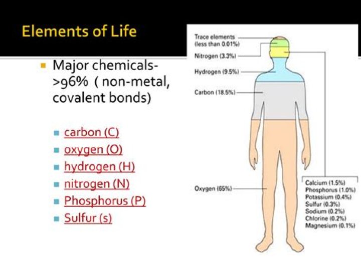 What are chemicals of life?