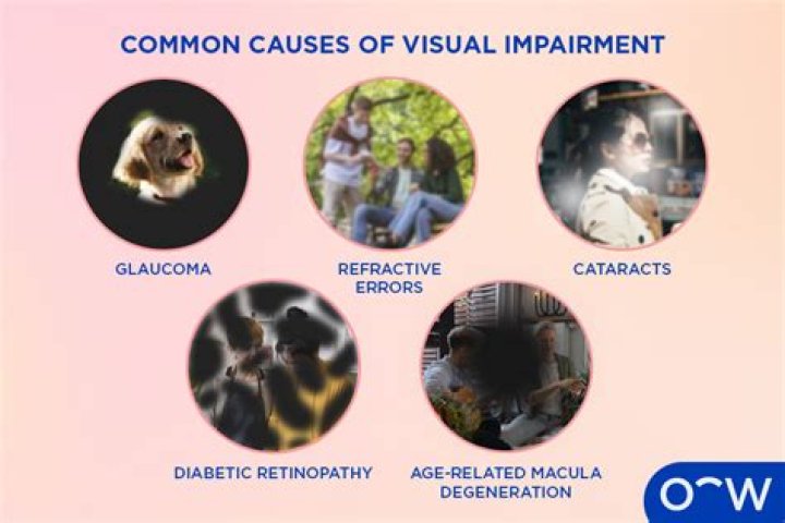 What are different types of vision disabilities?