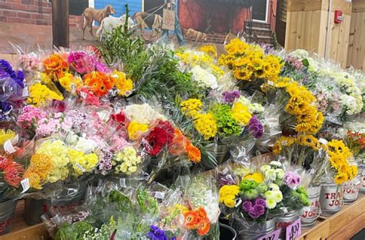 What are some cheap flowers?