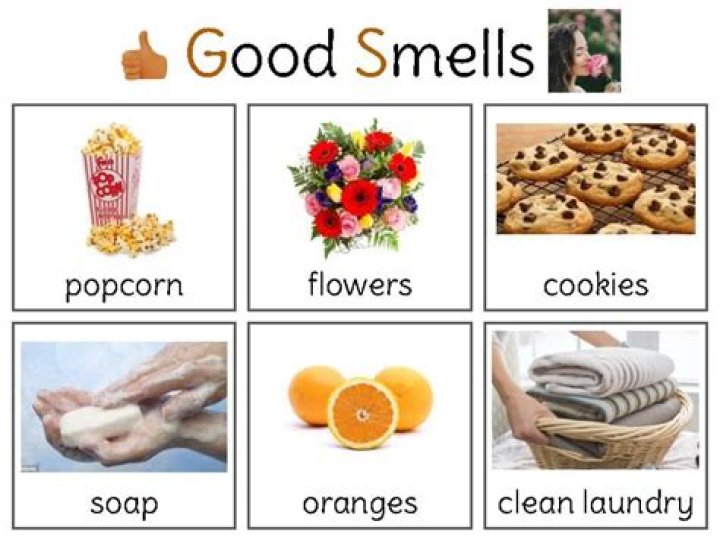 What are some things that smell good?