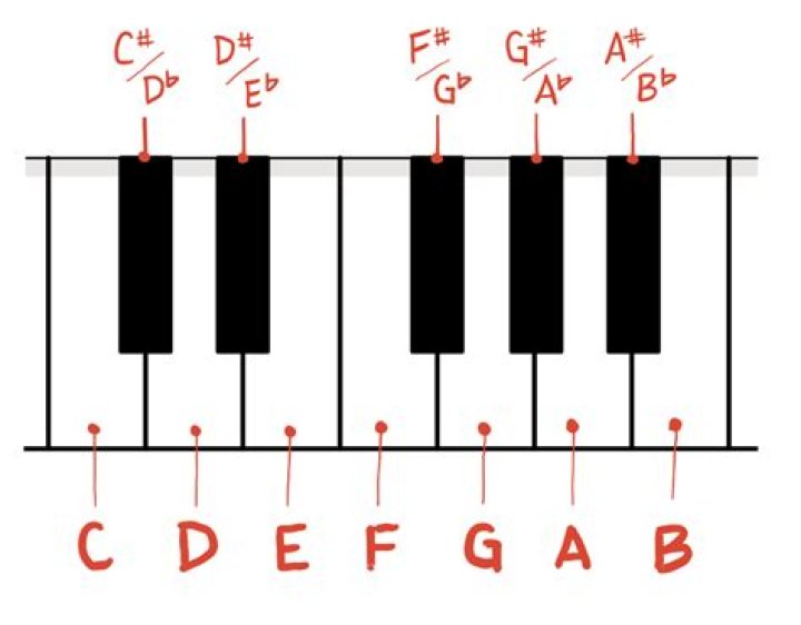 What are the 12 notes?
