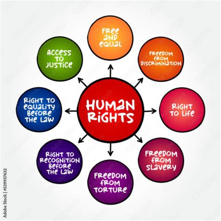 What are the 5 core principles of human rights?