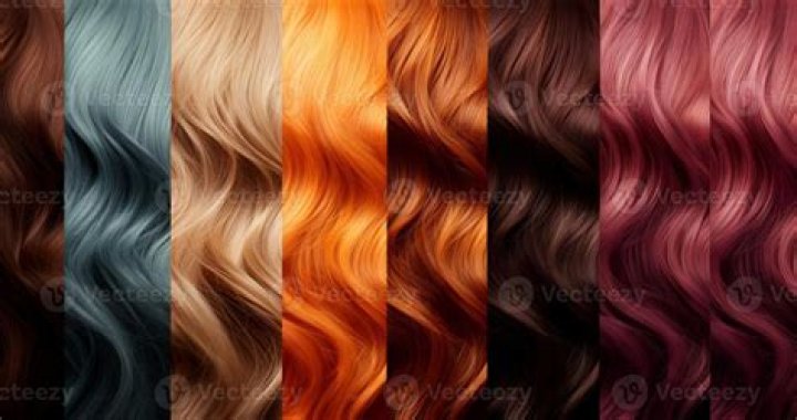 What are the different color highlights?