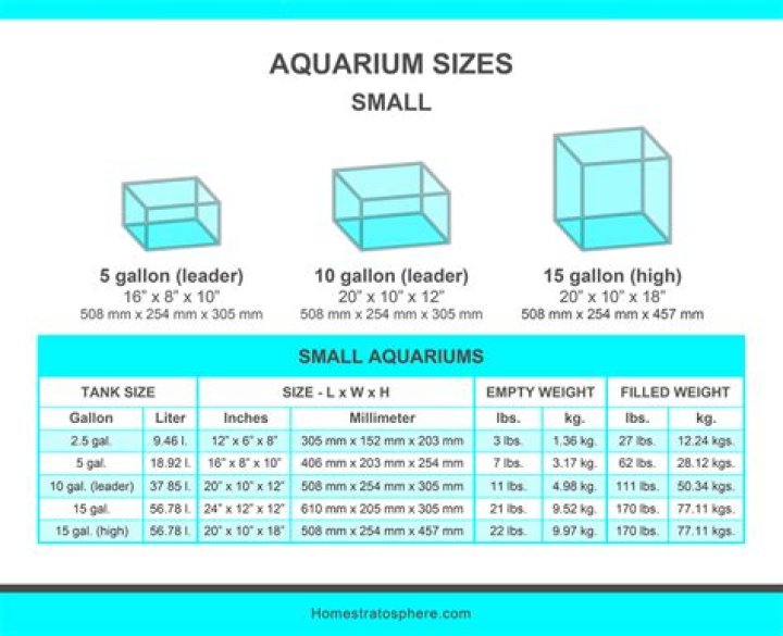 What are the dimensions of a standard 20 gallon aquarium?